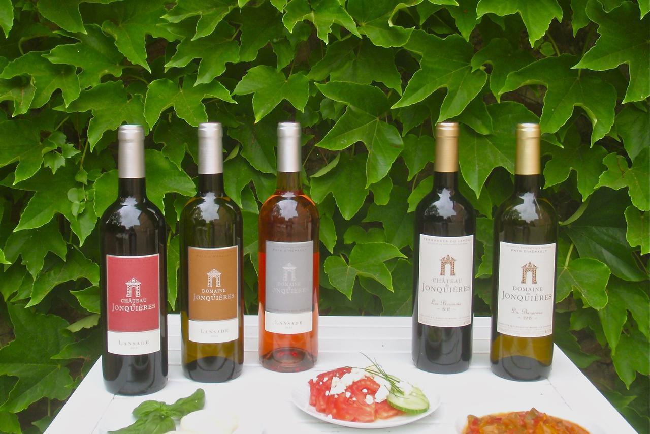 Chateau De Jonquieres - Herault Ngoại thất bức ảnh